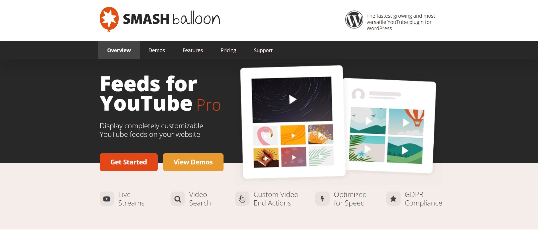 Smash Balloon YouTube plugin